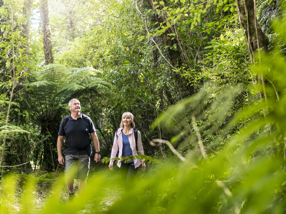A couple walk through native forest on the Queen Charlotte Track.