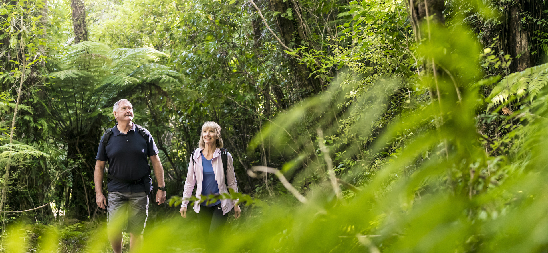 A couple walk through native forest on the Queen Charlotte Track.