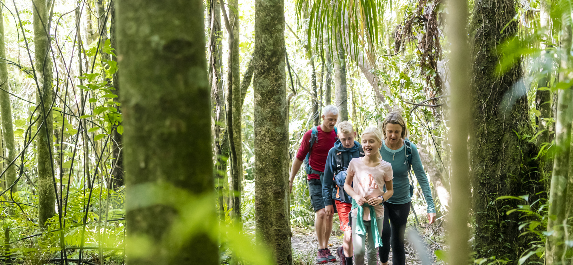 Four people walk through native bush on the northern Queen Charlotte Track in the Marlborough Sounds, New Zealand.