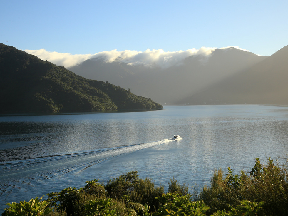 A Cougar Line boat leaves a wake in the calm water as it cruises through the Marlborough Sounds, New Zealand.