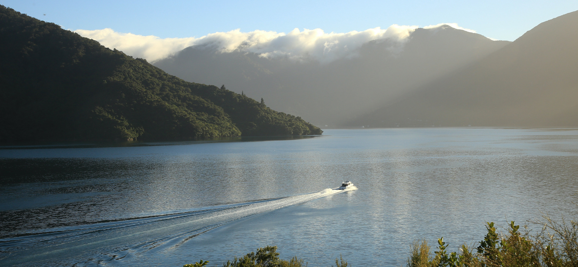A Cougar Line boat leaves a wake in the calm water as it cruises through the Marlborough Sounds, New Zealand.