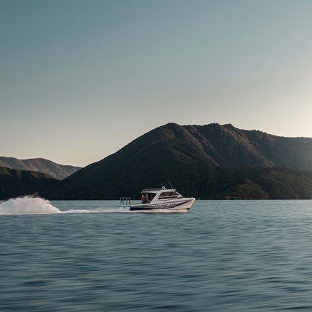 A Cougar Line boat cruises through the calm water of the Marlborough Sounds at the top of the South Island in New Zealand