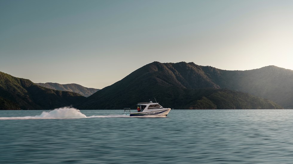A Cougar Line boat cruises through the calm water of the Marlborough Sounds at the top of the South Island in New Zealand