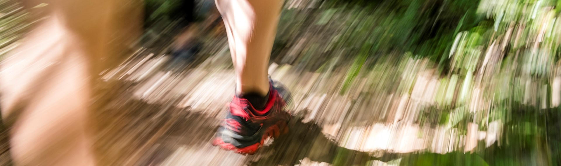 The legs and feet of a runner on the Queen Charlotte Track in the Marlborough Sounds, New Zealand.