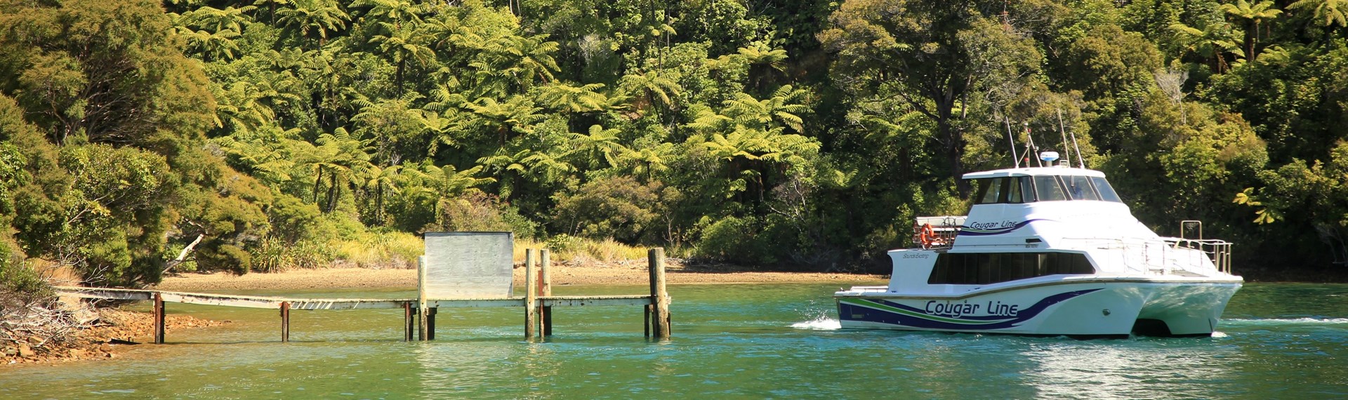 A Cougar Line boat at the Camp Bay jetty in a tranquil bay of calm green water, fern-filled native bush and a golden beach in the Marlborough Sounds, New Zealand