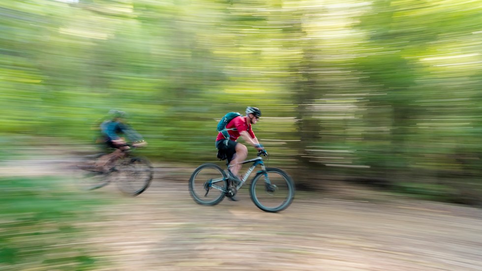 Two mountain bikers ride on the Queen Charlotte Track in the Marlborough Sounds, New Zealand.