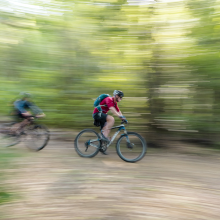 Two mountain bikers ride on the Queen Charlotte Track in the Marlborough Sounds, New Zealand.