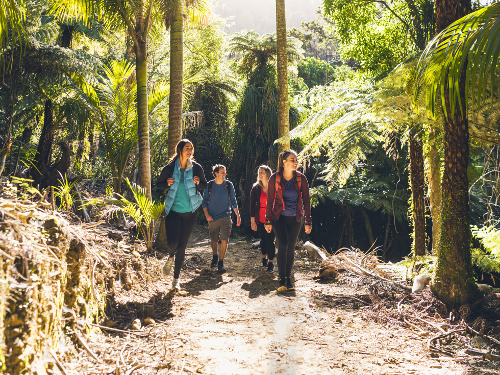 Four people walk on the northern Queen Charlotte Track in the Marlborough Sounds, New Zealand.