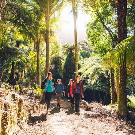 Four people walk on the northern Queen Charlotte Track in the Marlborough Sounds, New Zealand.