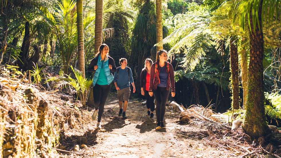 Four people walk on the northern Queen Charlotte Track in the Marlborough Sounds, New Zealand.