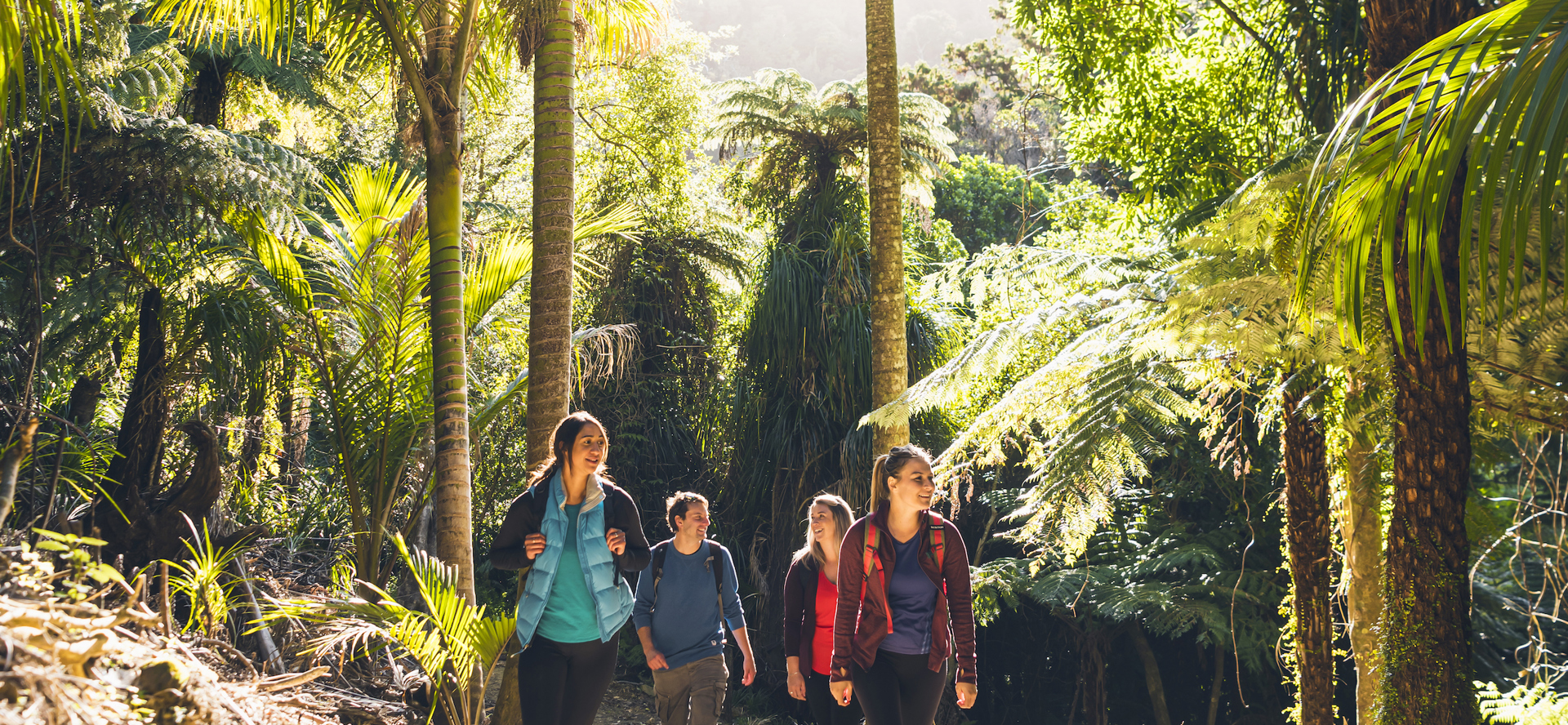 Four people walk on the northern Queen Charlotte Track in the Marlborough Sounds, New Zealand.