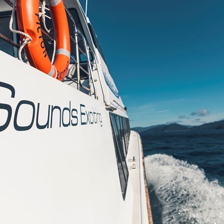The side of Cougar Line's Sounds Exciting boat shows the boat's name, above the wake as it cruises through the Marlborough Sounds on a sunny day in New Zealand