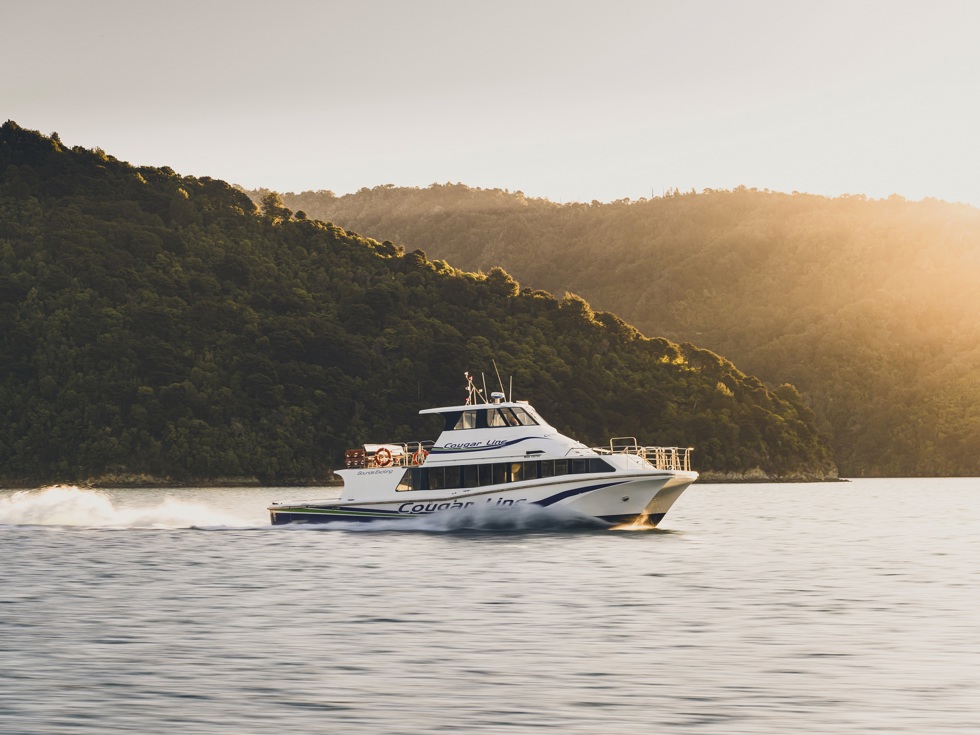 Boat cruises through the Marlborough Sounds at sunset, New Zealand.