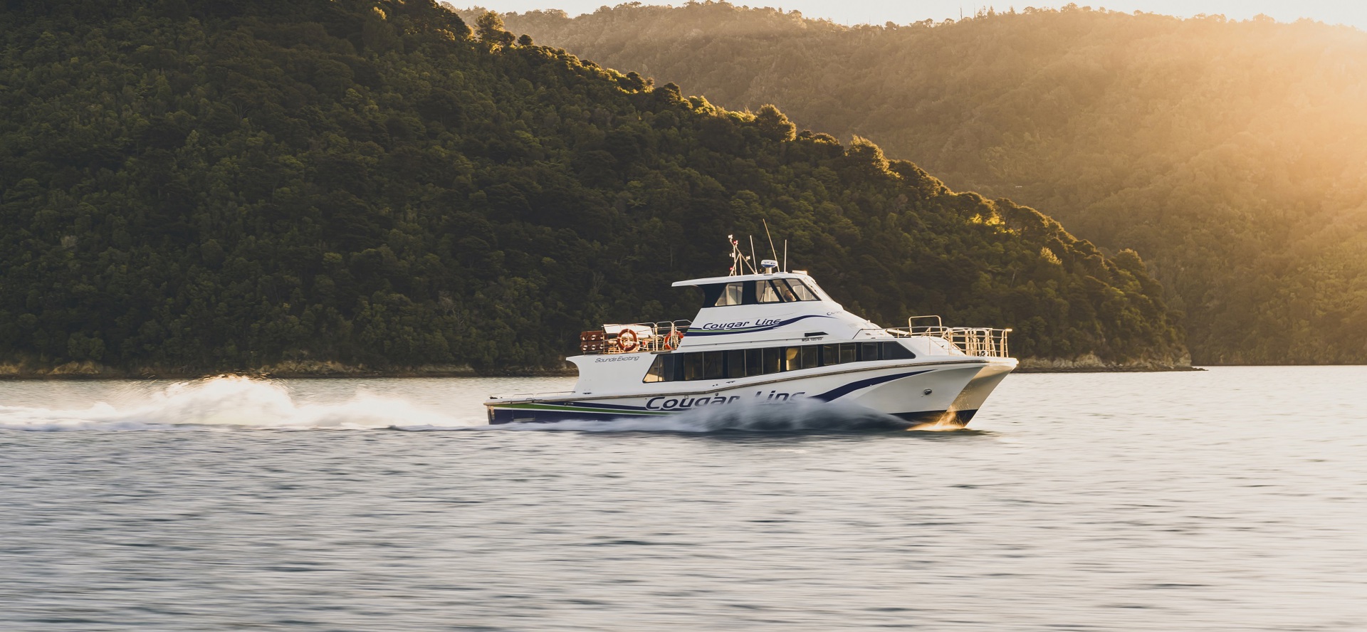 Boat cruises through the Marlborough Sounds at sunset, New Zealand.