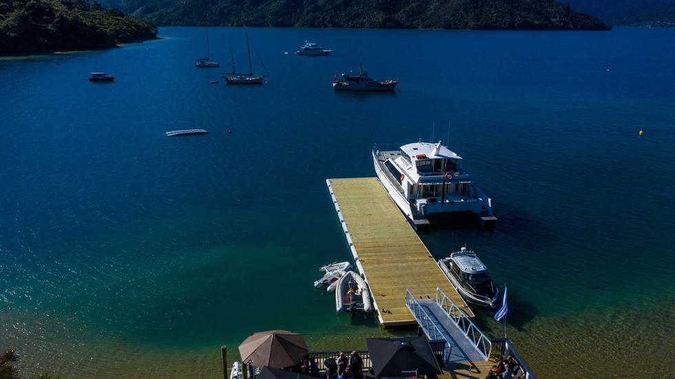 An aerial view of the Punga Cove jetty with a number of vessels parked next to it - there is also moorings available to park vessels