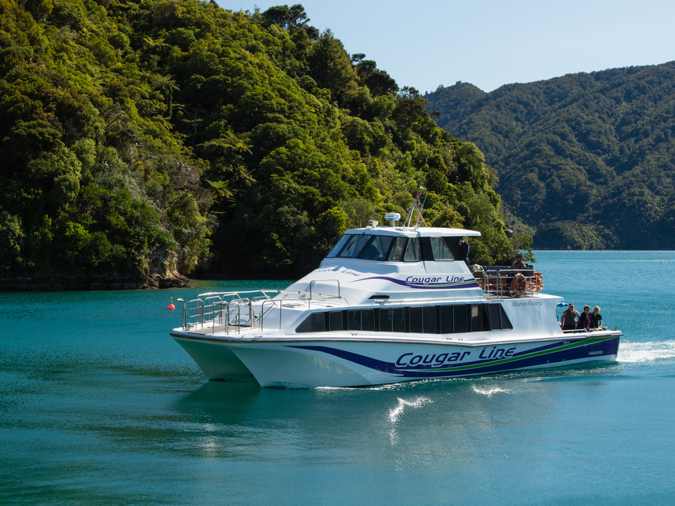 A Cougar Line boat with passengers onboard cruises into a calm bay in the Queen Charlotte Sound/Tōtaranui, Marlborough Sounds, New Zealand.